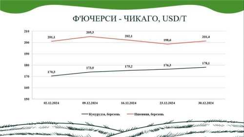 Підсумки грудня на ринку зернових та олійних від AgroMarket UUB - INFBusiness