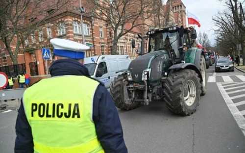 Польські фермери знову протестуватимуть проти імпорту української агропродукції - INFBusiness