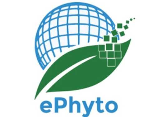 В Україні запрацює система обміну фітосанітарними сертифікатами e-Phyto - INFBusiness