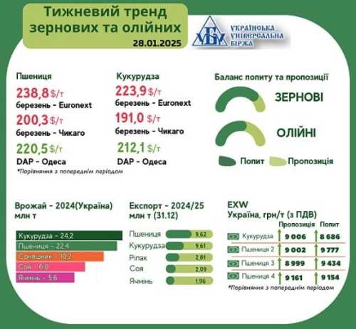 Тренди на ринку зернових та олійних з 20 по 28 січня - INFBusiness