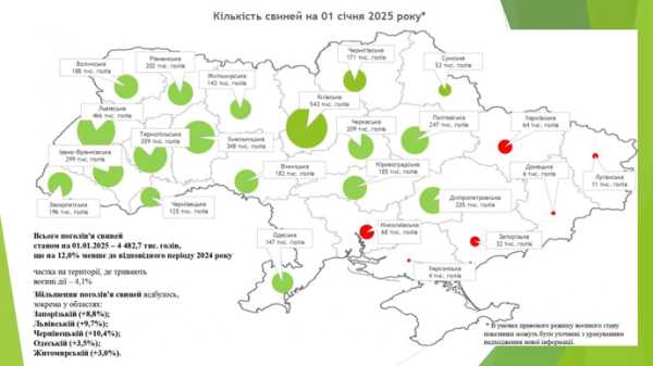 Буковина у лідерах за приростом поголів’я свиней, овець та кіз - INFBusiness