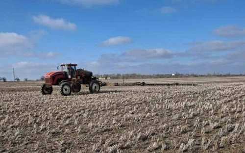 Інновації у підживленні соняшнику: досвід Tekom Agro Group - INFBusiness