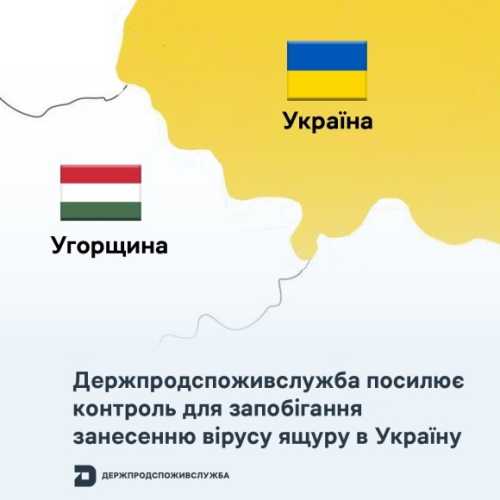 Держпродспоживслужба посилює контроль для запобігання занесенню вірусу ящуру в Україну - INFBusiness