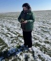 Кіровоградщина: стан озимих посівів добрий та задовільний - INFBusiness