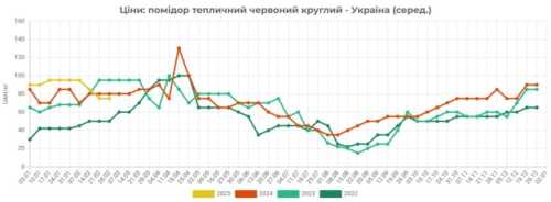 На українському ринку дорожчають імпортні томати - INFBusiness