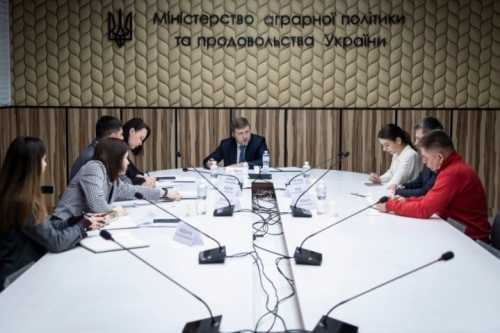 Віталій Коваль: Розвиток українського насінництва – це питання національної безпеки - INFBusiness