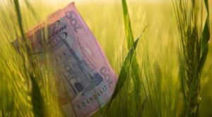 Держпідтримку аграріїв в Україні адаптують до європейської CAP