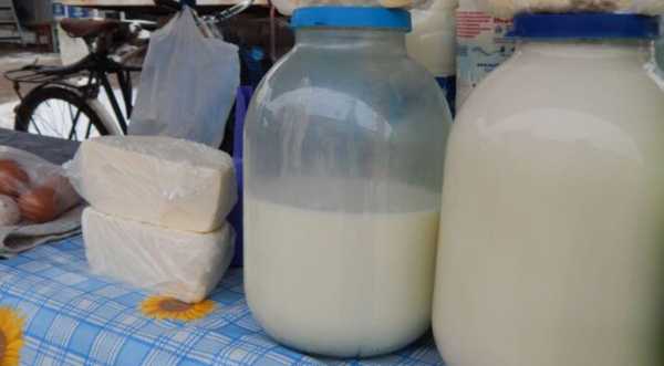 Набули чинності нові правила лабораторних досліджень молокопродуктів на ринках - INFBusiness