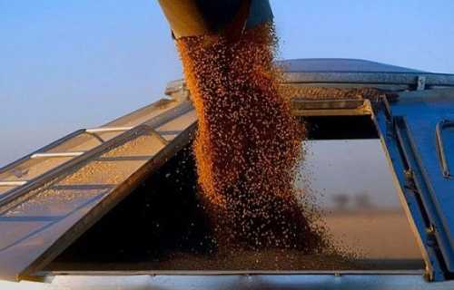 Україна скоротила експорт зерна у 2024/2025 МР - INFBusiness