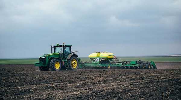 Аграрії Сумщини посіяли 80% ранніх зернових - INFBusiness