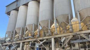 IFC профінансувала в Україні два проєкти з глибокої переробки агропродукції