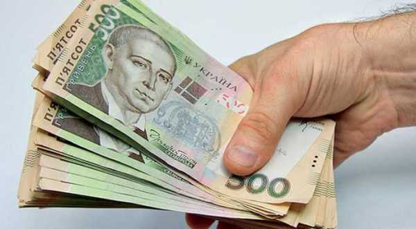 Аграріям виплатять ще 390 млн грн дотацій за худобу та оброблювані землі - INFBusiness