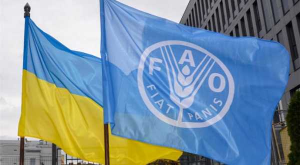ФАО запустила дворічний план допомоги українським аграріям на 150 млн - INFBusiness
