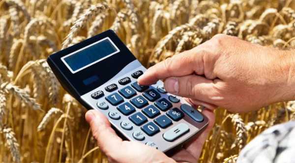 Банки майже не кредитують аграріїв прифронтових територій - INFBusiness