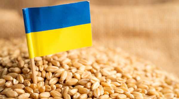 USDA залишило без змін прогноз урожаю зернових в Україні - INFBusiness