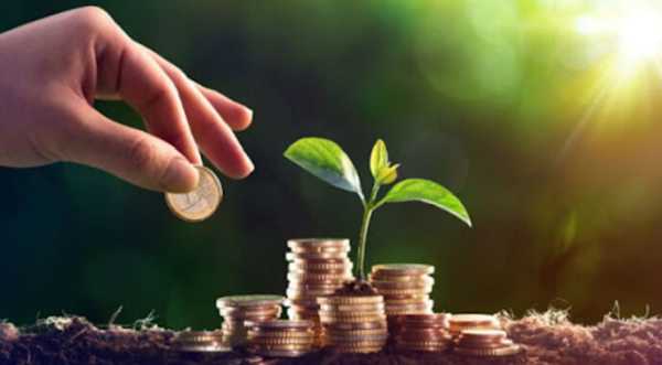 95% усіх інвестицій — власні кошти агропідприємств - INFBusiness