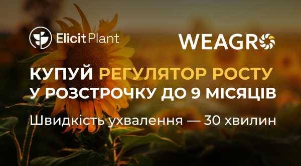 Аграрії можуть придбати інноваційні продукти з відтермінуванням платежу - INFBusiness