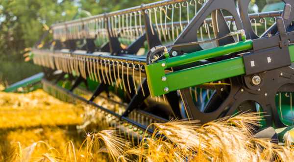 В Україні намолотили перші 25 тис. т ячменю - INFBusiness