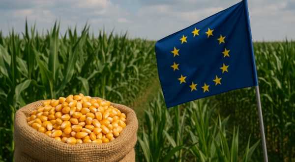 Відкриття ринку ЄС для українського насіння: які наслідки для вітчизняної селекції - INFBusiness