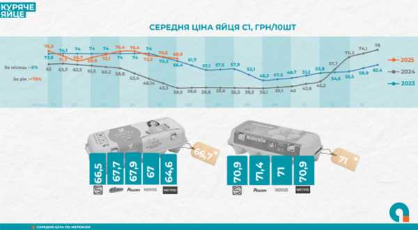 Яйця в Україні за місяць подешевшали на 5% - INFBusiness
