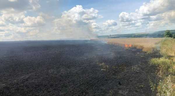 Додатковим викликом для аграріїв Херсонщини стали підпали полів - INFBusiness