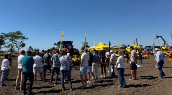 На Одещині перевіряли ефективність strip-till та no-till на соняшнику - INFBusiness