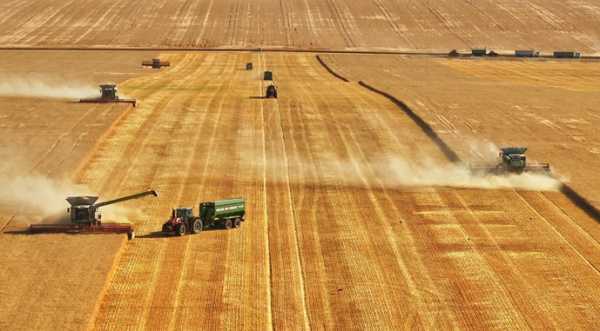 Ранні культури молотять у 9 областях України - INFBusiness