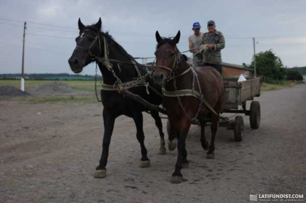 Агротур «Переробка 2025»: морква, хлібці, пшоно і прошуто — де шукають прибуток аграрії - INFBusiness