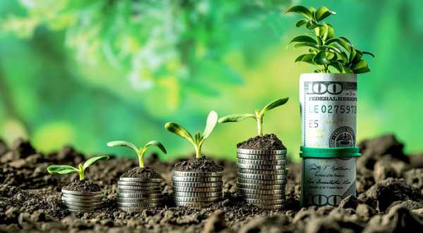 Світовий банк додатково виділив $50 млн для українських аграріїв - INFBusiness