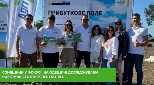 На Одещині перевіряли ефективність strip-till та no-till на соняшнику - INFBusiness