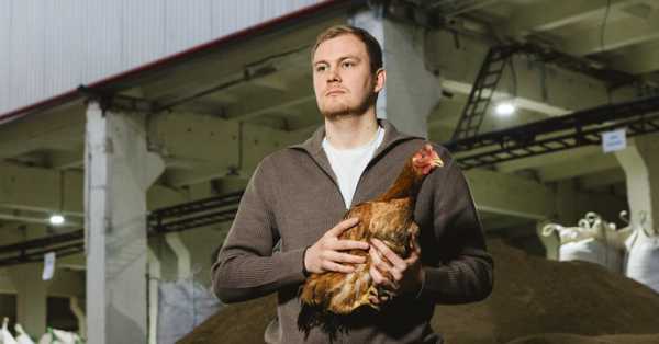 На ринку з’явився продукт, який не просто підтримує, а формує нові стандарти-HiPro - INFBusiness