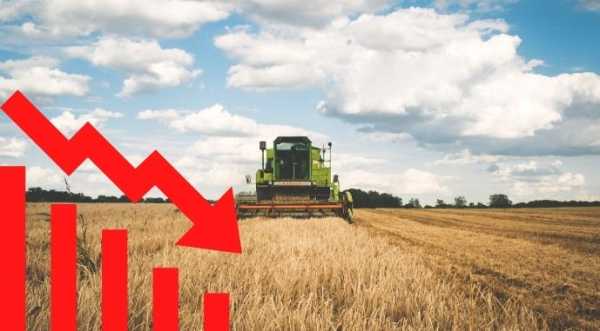Урожайність зерна в Україні буде нижчою - INFBusiness
