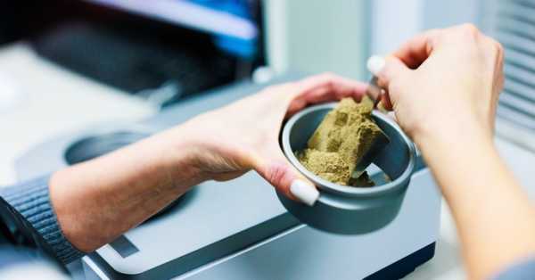 На ринку з’явився продукт, який не просто підтримує, а формує нові стандарти-HiPro - INFBusiness