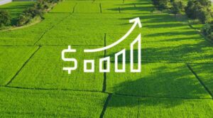 В Україні сплатили на 3,5 млрд грн більше земельного податку