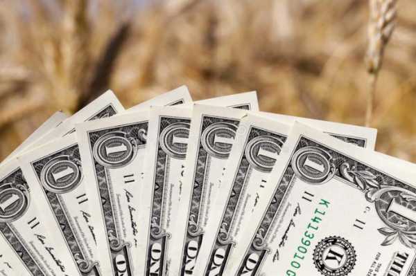 Обсяг залучених аграріями кредитів перевищив 80 млрд грн - INFBusiness