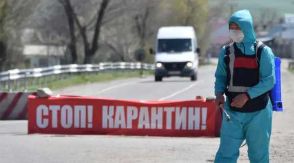 Затверджено порядок дії карантинних ветпостів на кордоні України - INFBusiness