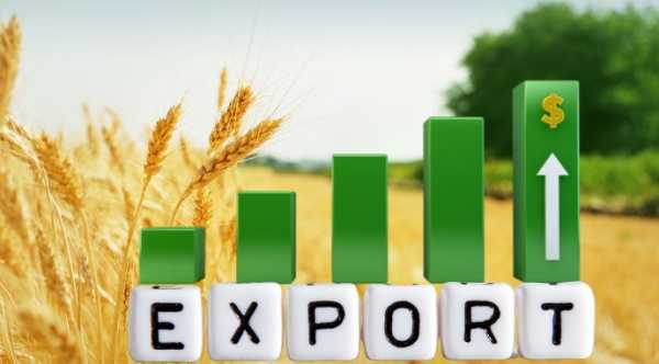 Продукція рослинництва займає чверть українського експорту - INFBusiness