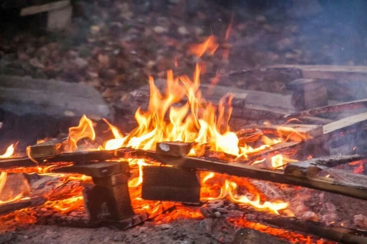 Чому не варто викидати вугілля з багаття: краще розкидайте по грядках – урожай веслуватимете лопатами Костер