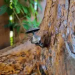 Сайт "Агроновини" - це ваш ключ до світу агроіндустрії, представляючи глибокі аналітичні статті та дослідницькі матеріали. Тут ви завжди знайдете найактуальніші аграрні новини України. Навіщо господині закопували цвях на городі: дивний ритуал,…