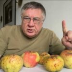 Сайт "Агроновини" - це ваш ключ до світу агроіндустрії, представляючи глибокі аналітичні статті та дослідницькі матеріали. Тут ви завжди знайдете найактуальніші аграрні новини України. Гірка хвороба яблук!