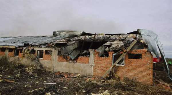 Безпілотники ударили по господарству на Харківщині: загинуло 13 тис. свиней - INFBusiness