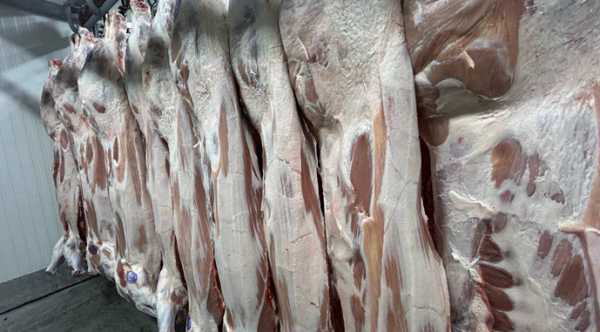 Рівненщина: М'ясне виробництво піднялось на 14% - INFBusiness