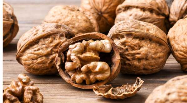 Україна планує збільшити продаж волоських горіхів на 67%. - INFBusiness