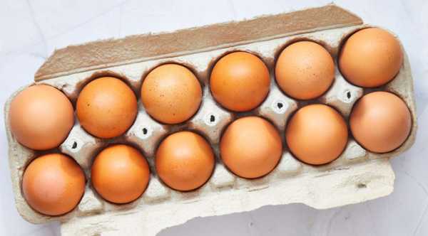 Яйця: до кінця року подорожчання не перевищить 5% - INFBusiness