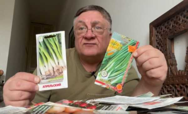 Найніжніший і найкорисніший - INFBusiness