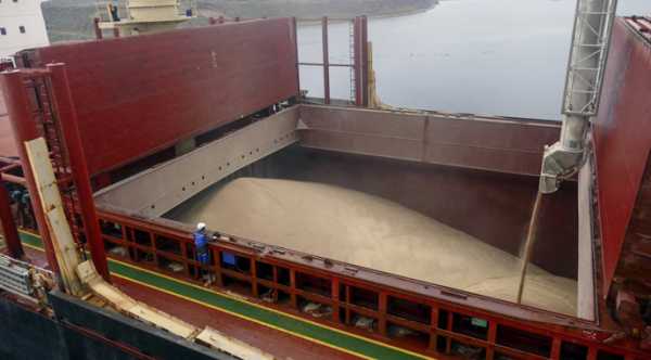 Ціни на фрахт для транспортування зернових культур з України зберігають незмінність на всіх шляхах та для будь-яких видів суден. Звичний рух хлібних вантажів урівноважив ринок перевезень. - INFBusiness