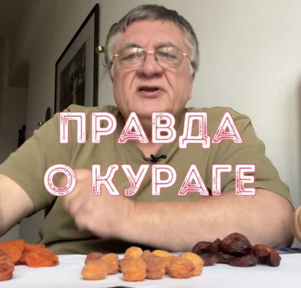 Правда про курагу - INFBusiness