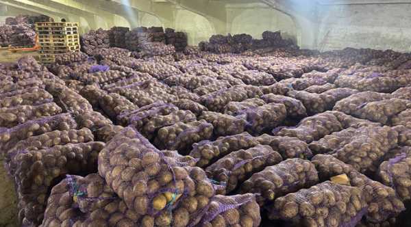 Оптові розцінки на картоплю в Україні зросли через недостатню кількість пропозицій.