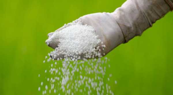Дефіцит сечовини може турбувати фермерів більше, ніж вартість удобрення