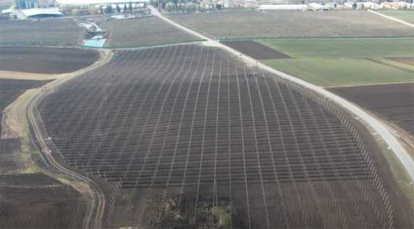 Садові держділянки: лідер орендних пропозицій – Миколаївщина